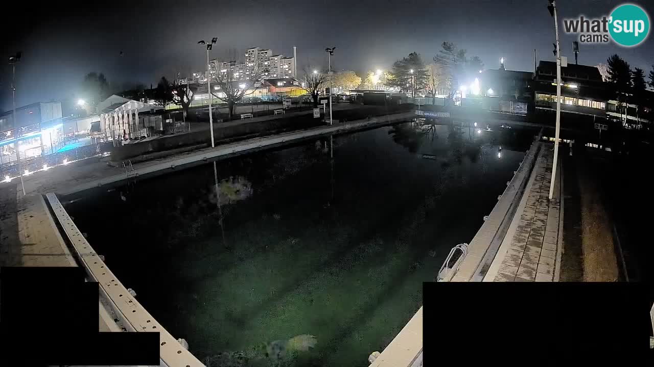 Cámara web Celje – Piscina principal