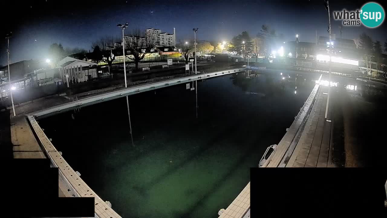 Webcam Celje – Main swimming pool