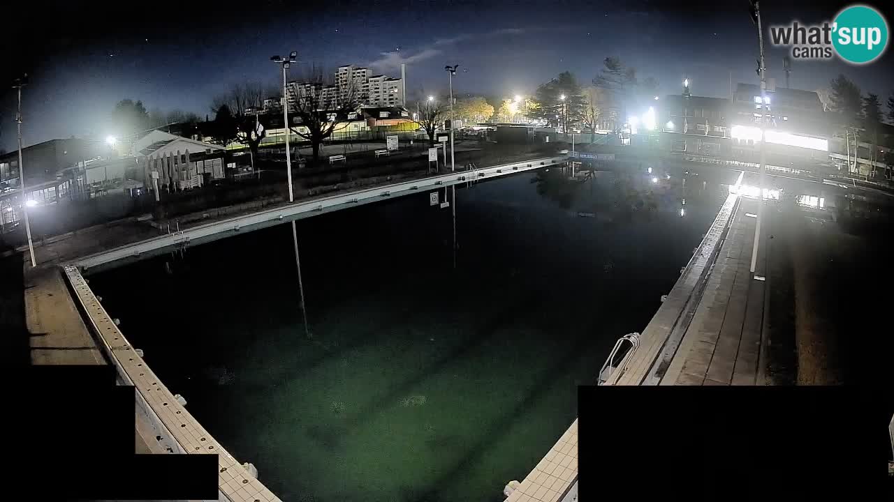 Webcam Celje – Main swimming pool