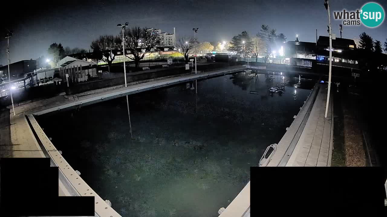 LiveCam Celje – Piscina principale