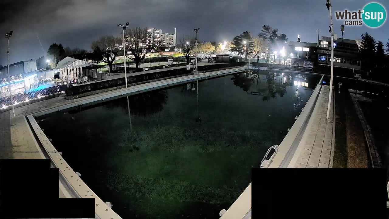 Cámara web Celje – Piscina principal