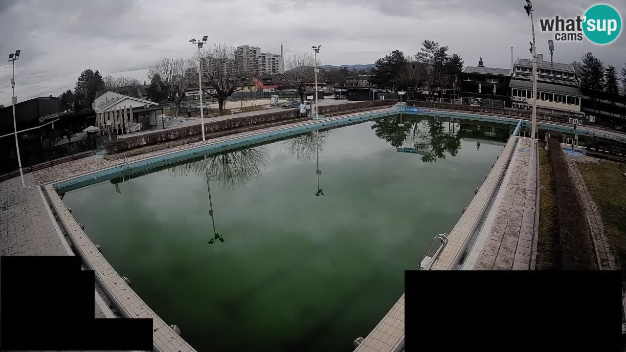 Webcam Celje – Main swimming pool