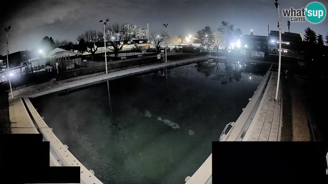 Webcam Celje – Main swimming pool