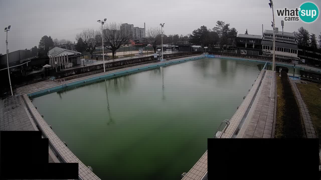 Webcam Celje – Main swimming pool