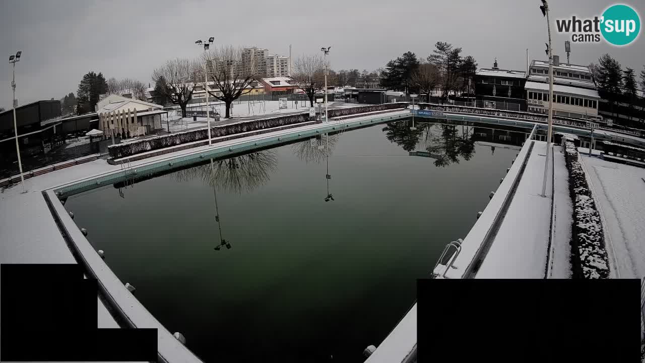 Webcam Celje – Main swimming pool