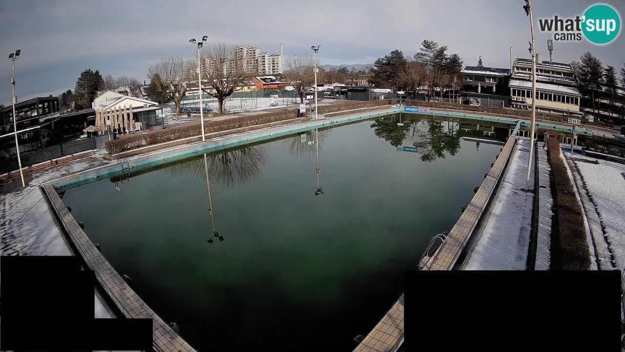 Webcam Celje – Main swimming pool