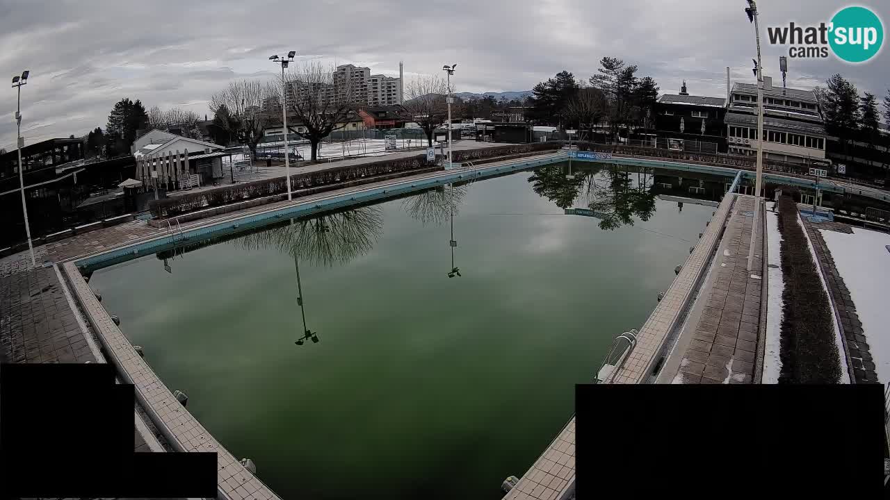 Webcam Celje – Main swimming pool