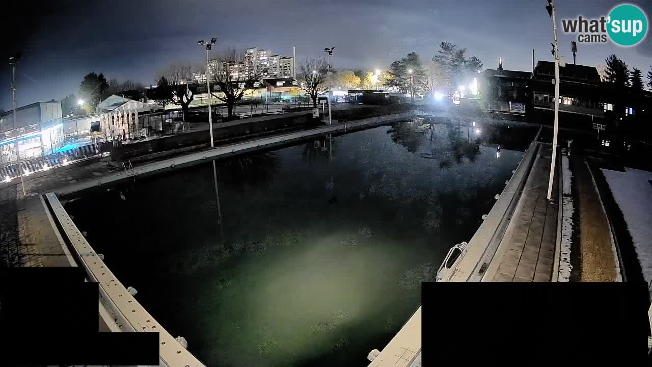 Webcam Celje – Main swimming pool