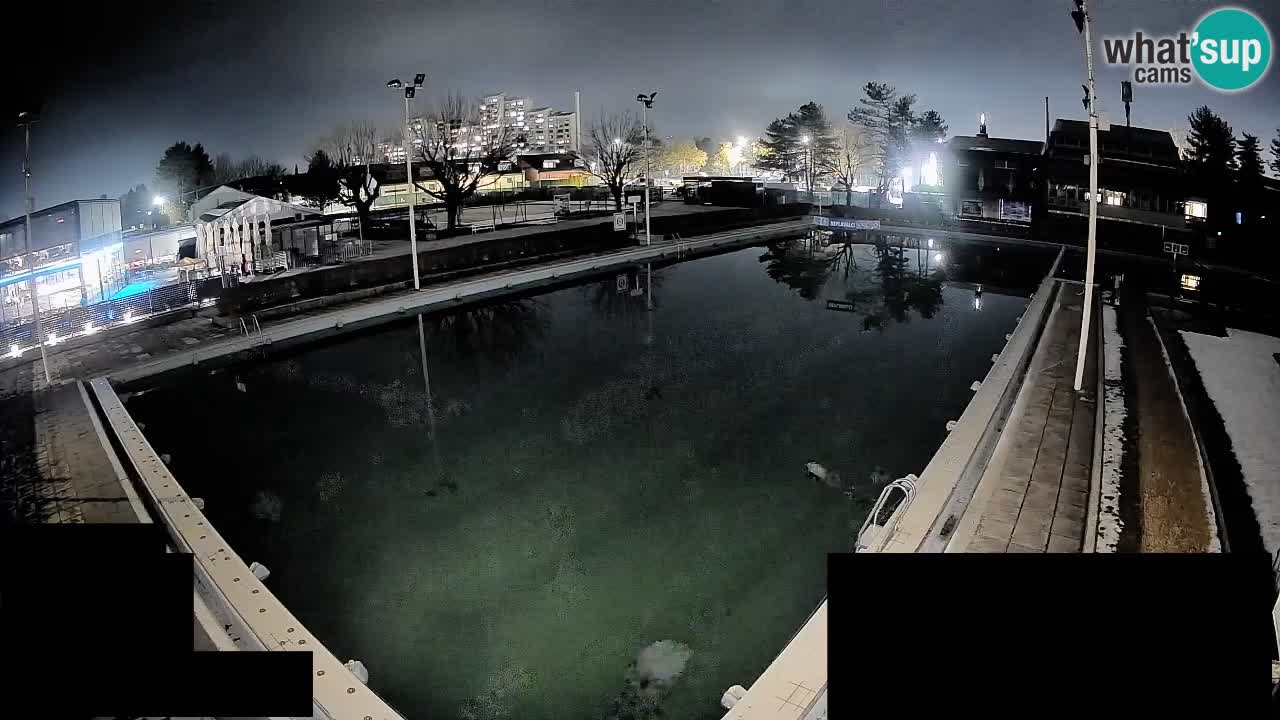 Webcam Celje – Main swimming pool