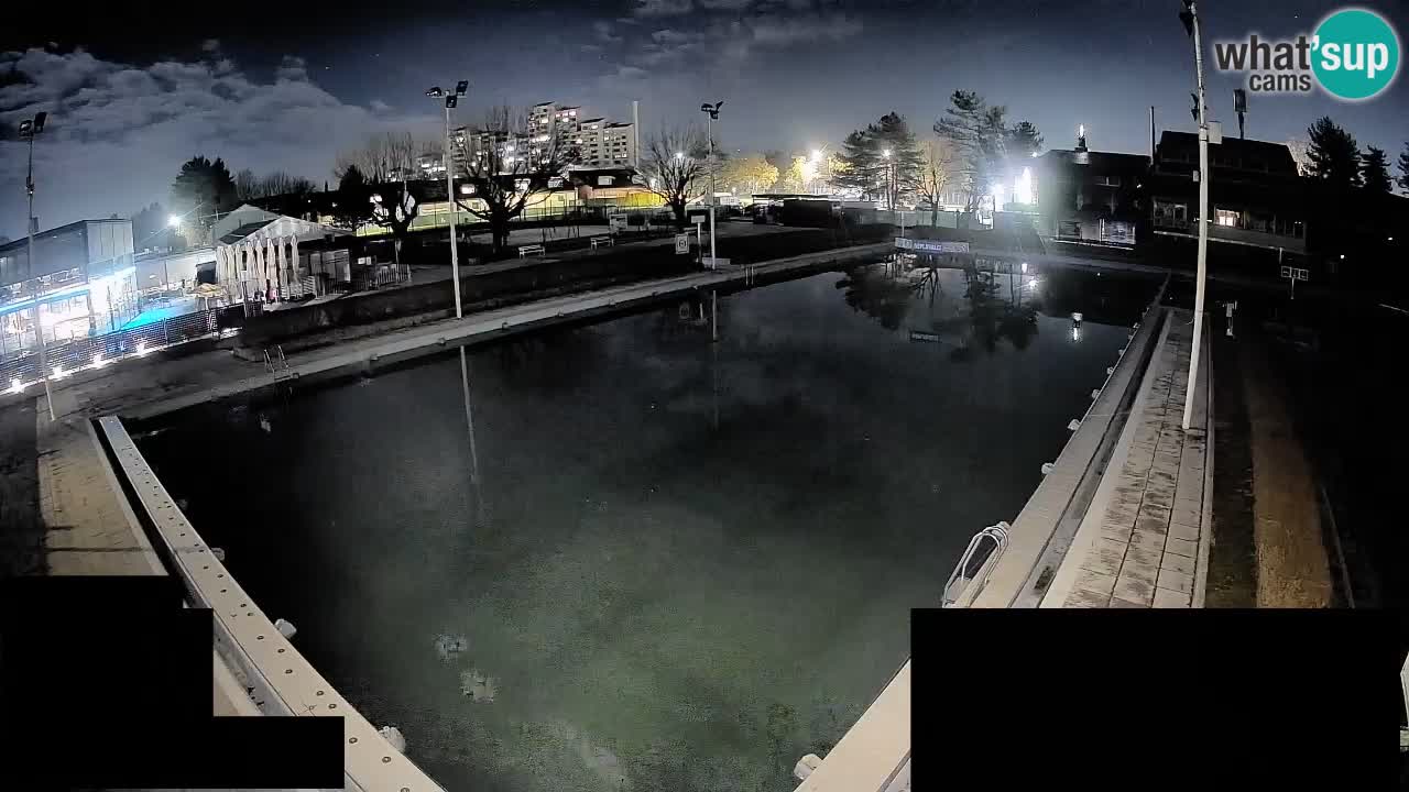 Webcam Celje – Main swimming pool
