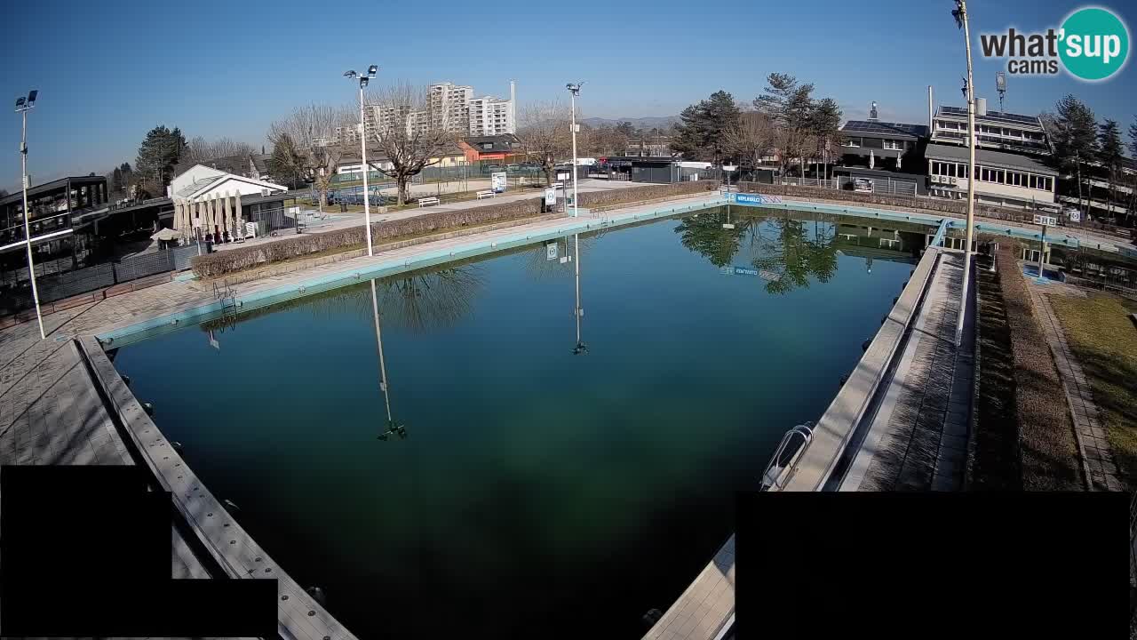 Webcam Celje – Main swimming pool