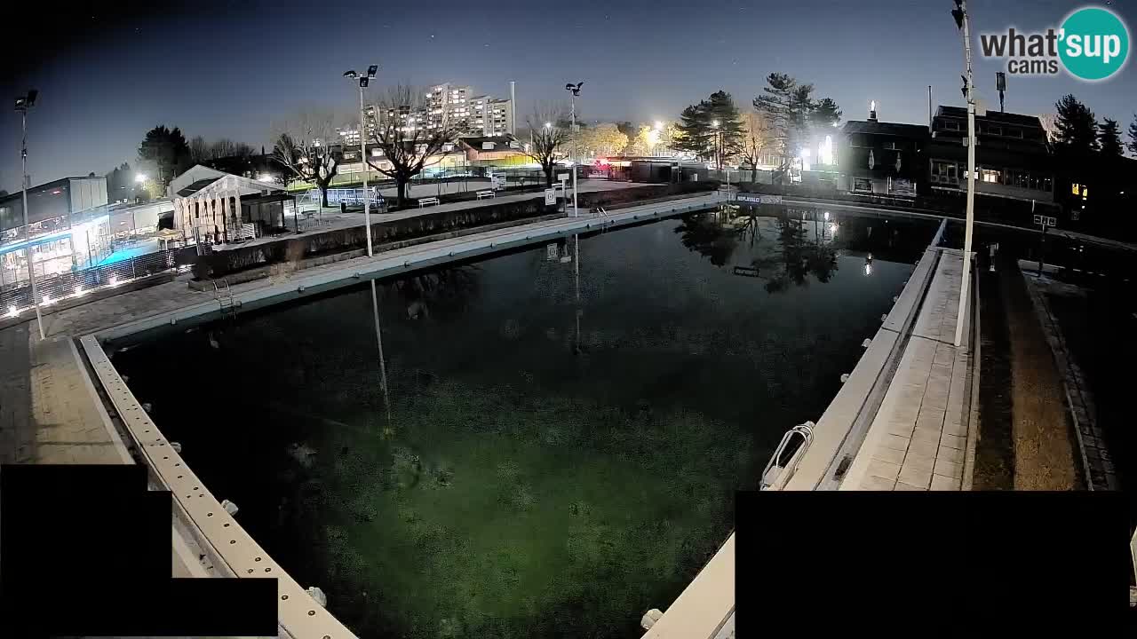 Webcam Celje – Main swimming pool