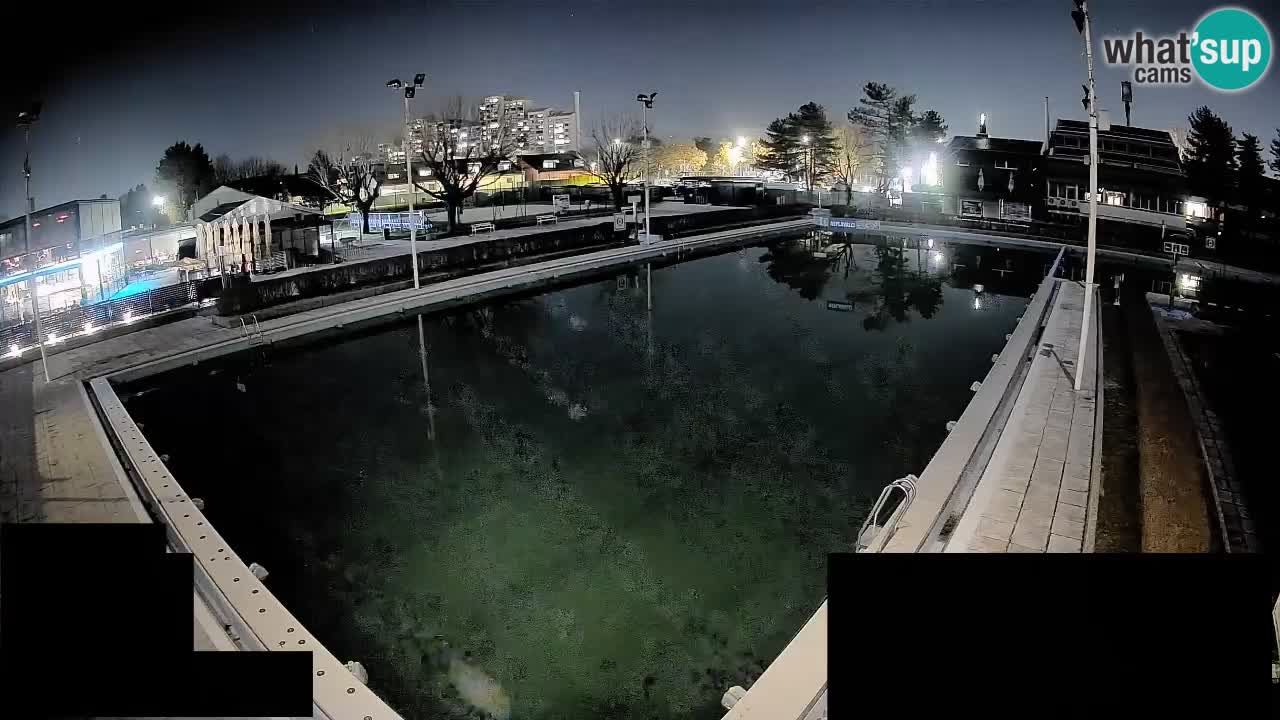 Webcam Celje – Main swimming pool