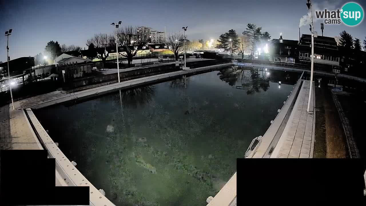 LiveCam Celje – Piscina principale
