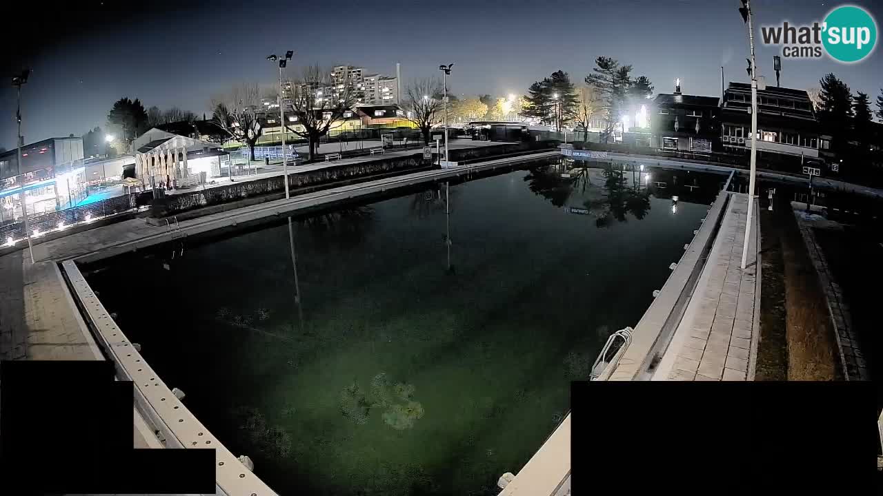 Cámara web Celje – Piscina principal