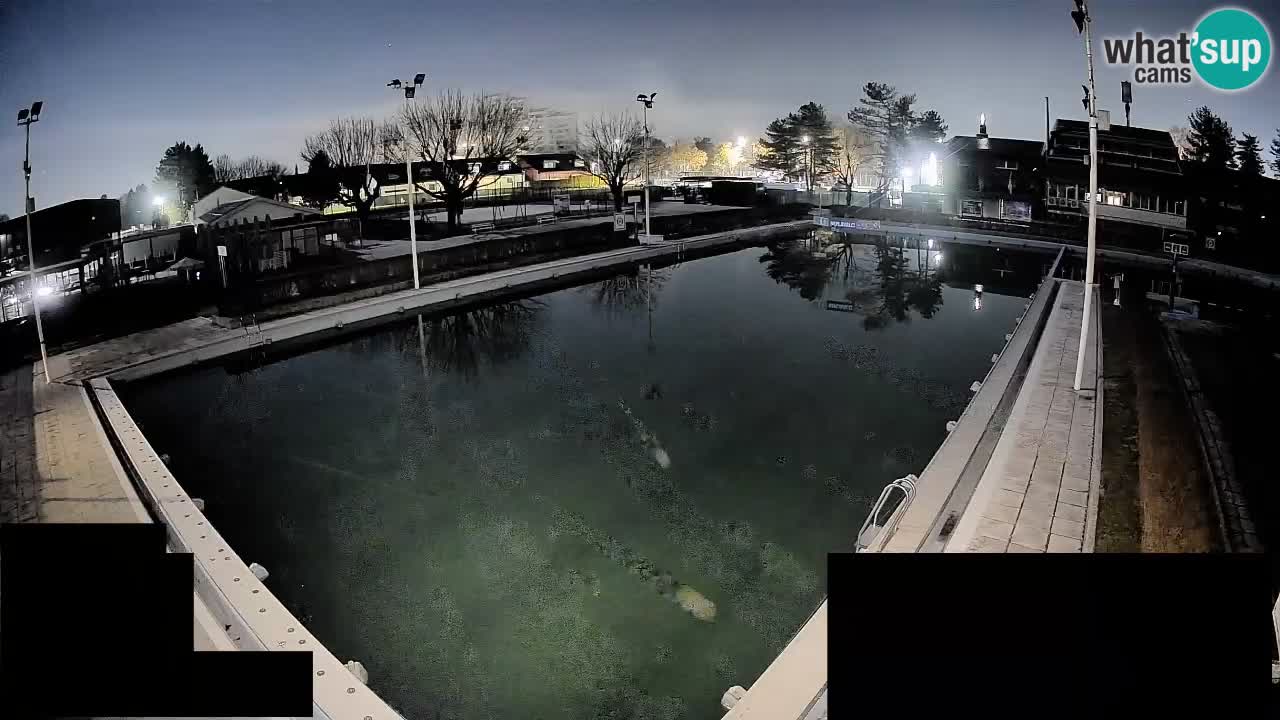 LiveCam Celje – Piscina principale