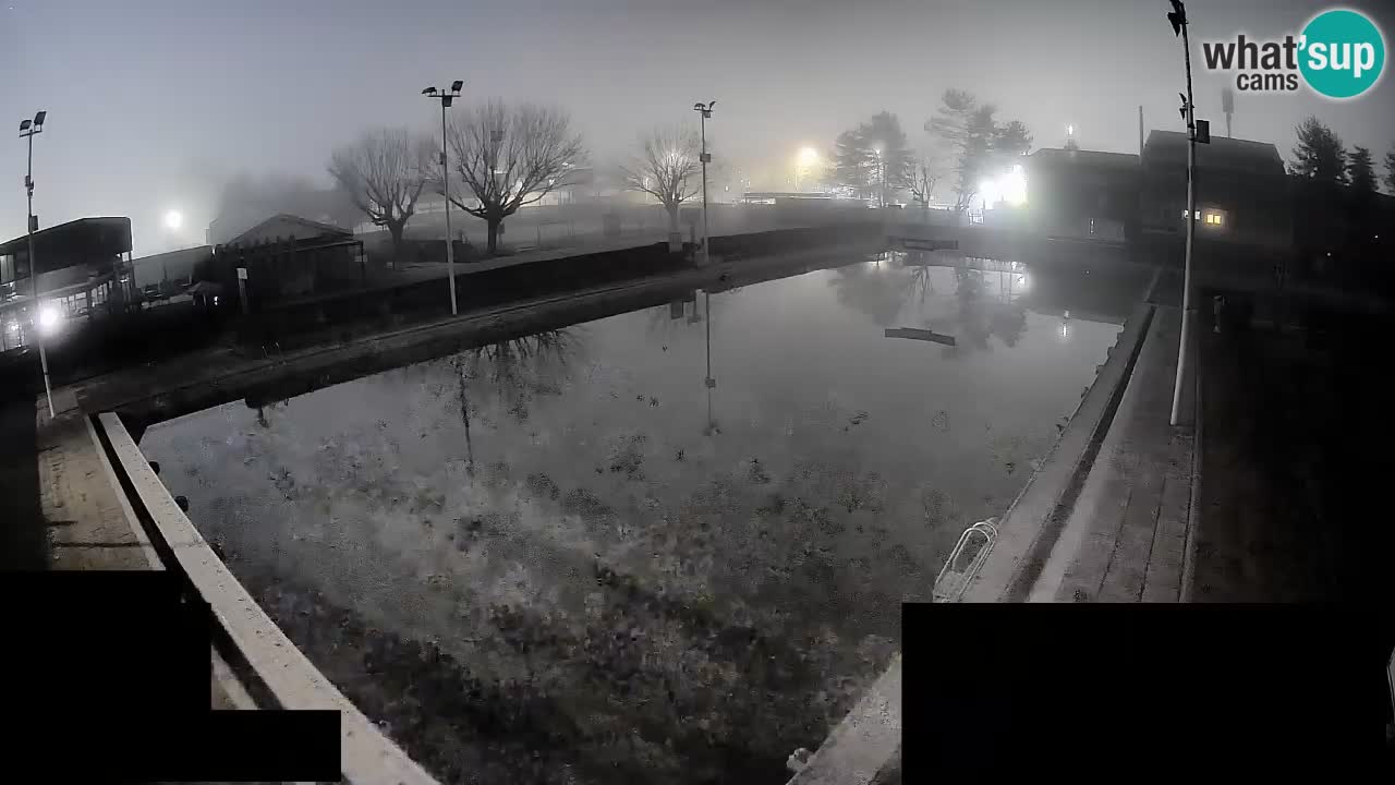 Webcam Celje – Main swimming pool