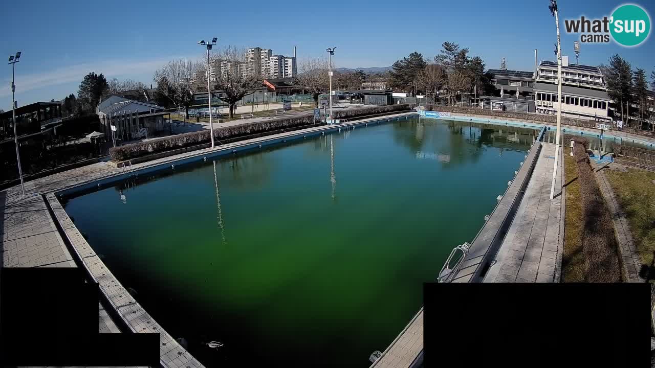 Webcam Celje – Main swimming pool