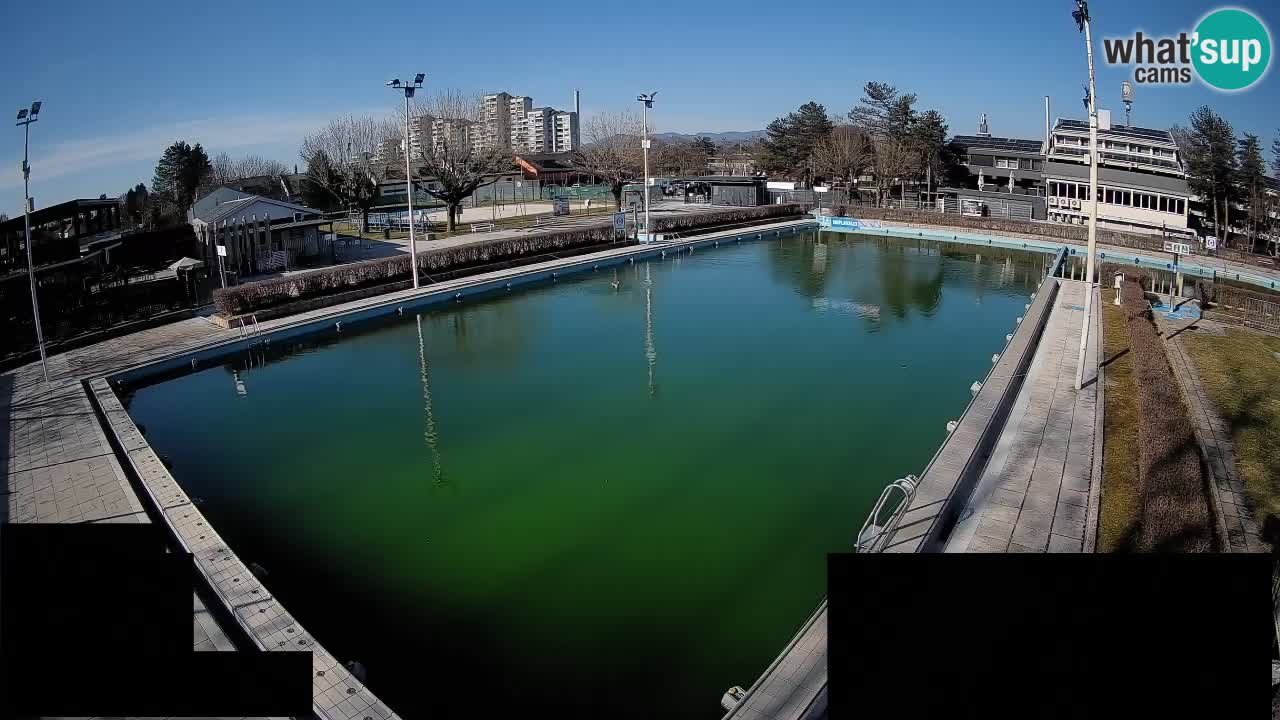 Webcam Celje – Main swimming pool