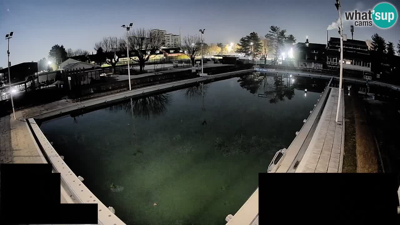 Webcam Celje – Main swimming pool