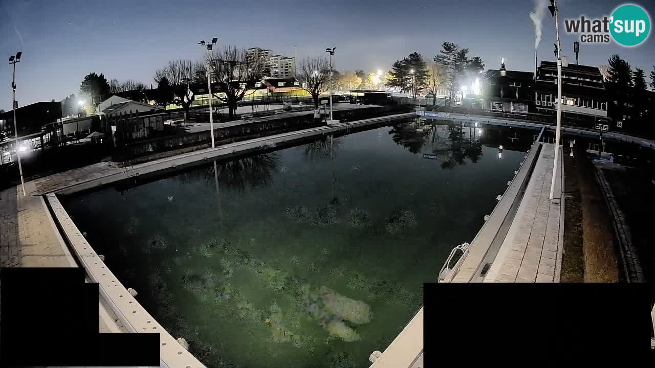 Cámara web Celje – Piscina principal