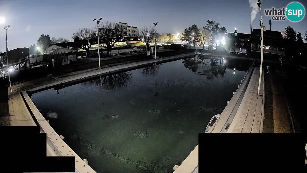 Webcam Celje – Hauptschwimmbad