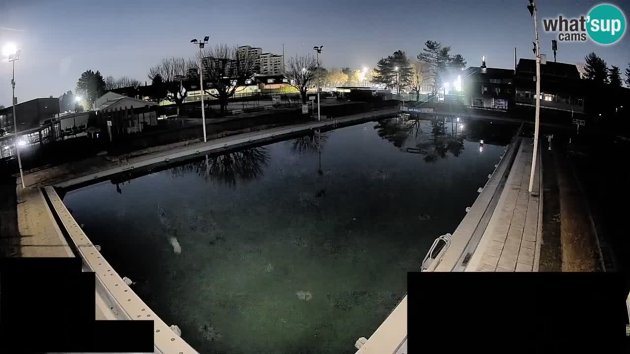 Webcam Celje – Piscine principale