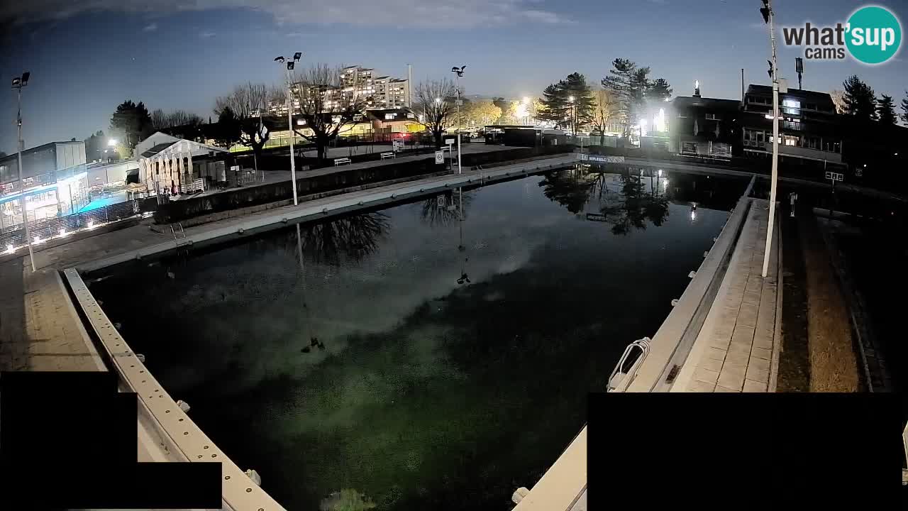 Cámara web Celje – Piscina principal