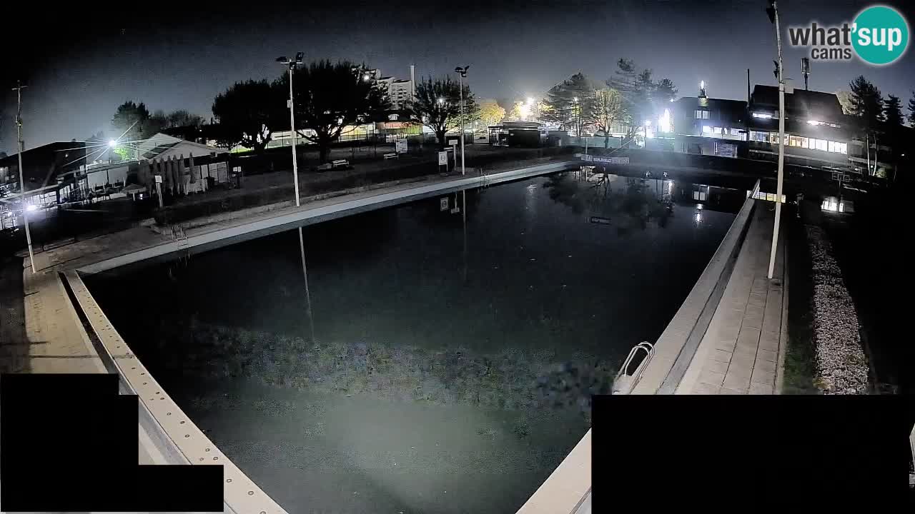 Kamera v živo Celje Letno kopališče  – glavni bazen