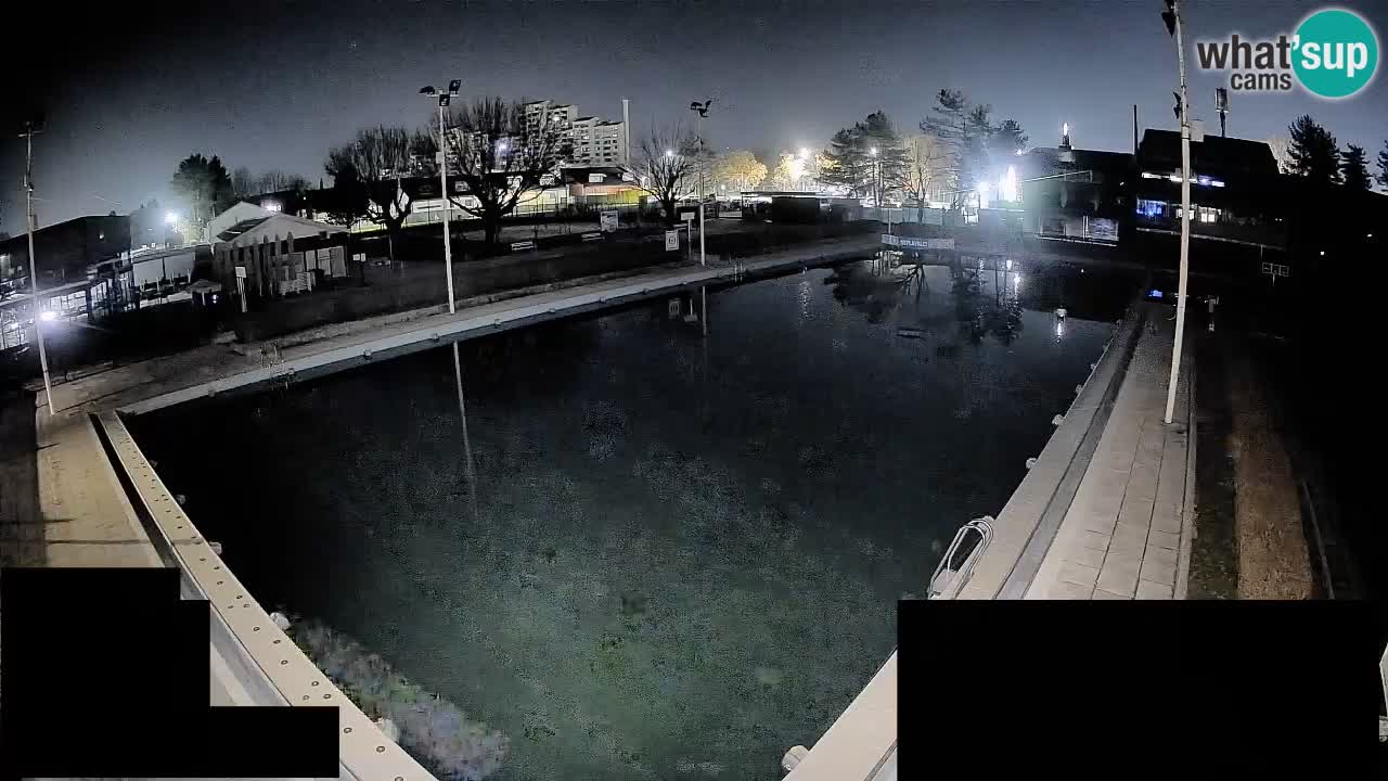 Webcam Celje – Main swimming pool