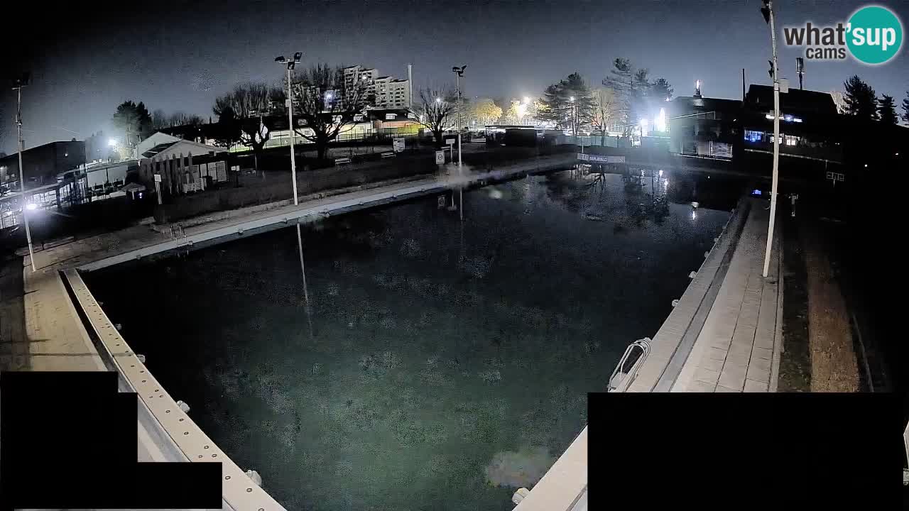 Webcam Celje – Hauptschwimmbad