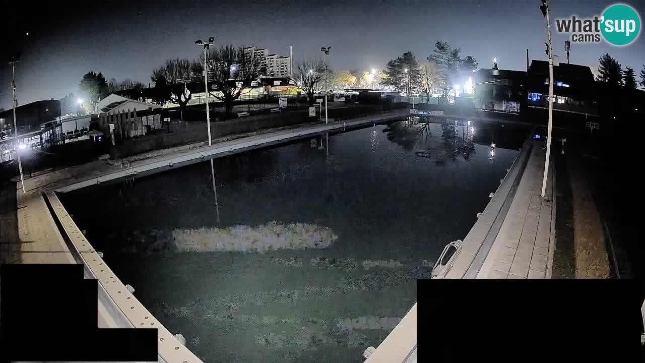 Webcam Celje – Main swimming pool