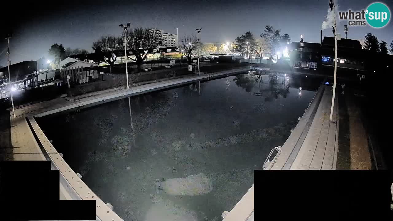 Webcam Celje – Main swimming pool