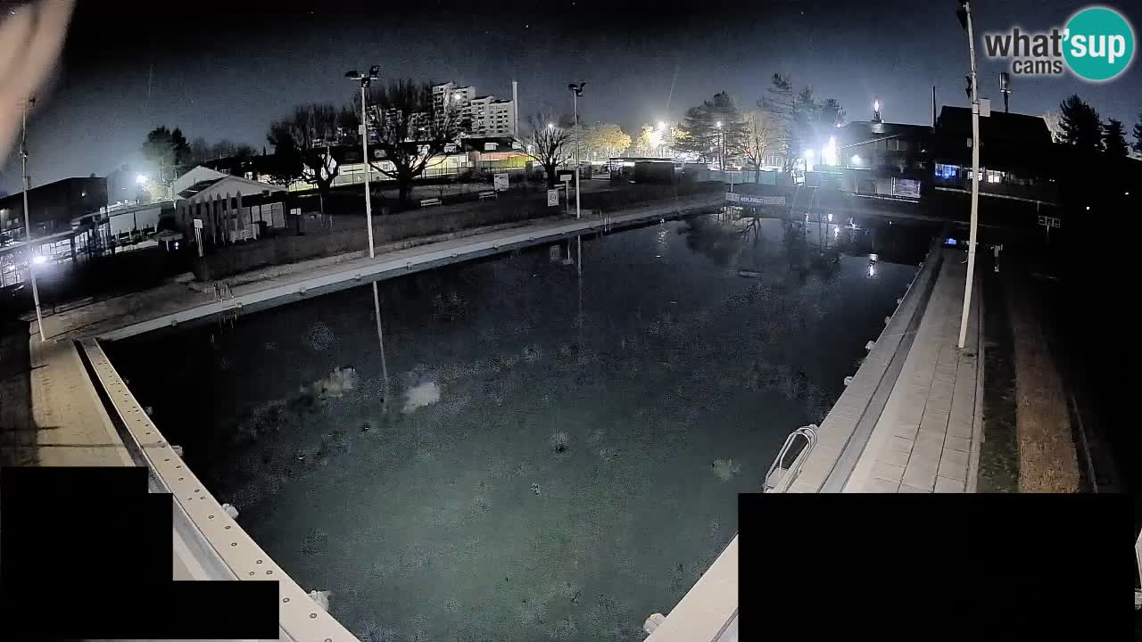 Webcam Celje – Main swimming pool