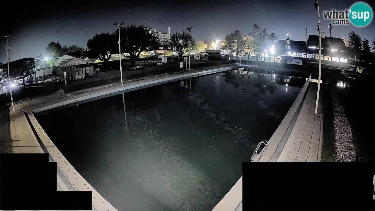 Webcam Celje – Main swimming pool