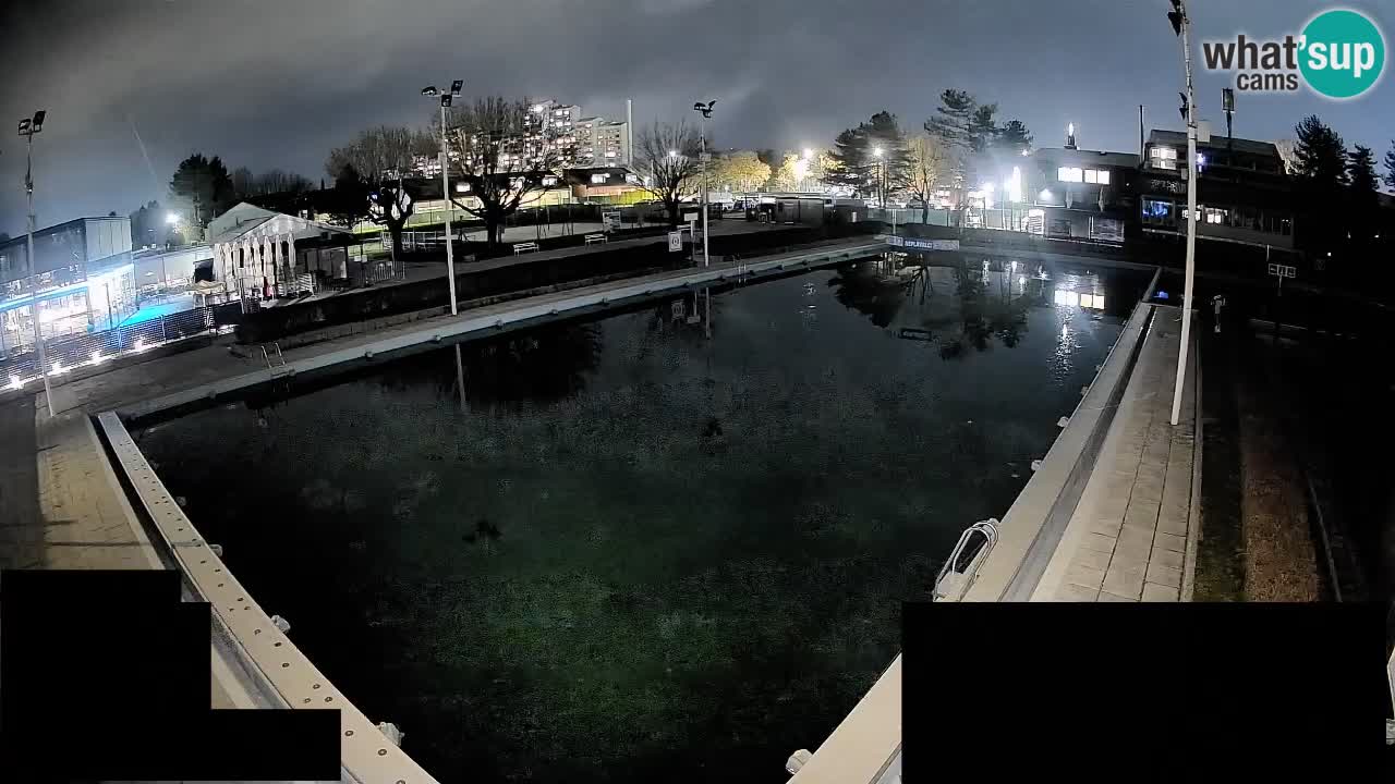 Webcam Celje – Main swimming pool