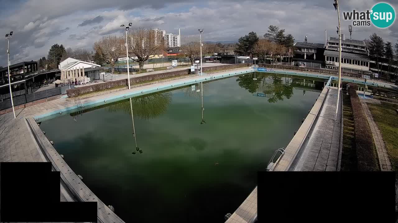 Webcam Celje – Main swimming pool