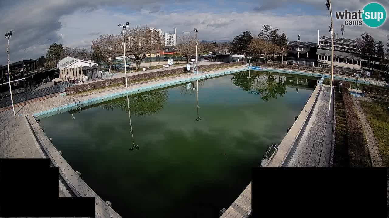 Webcam Celje – Main swimming pool