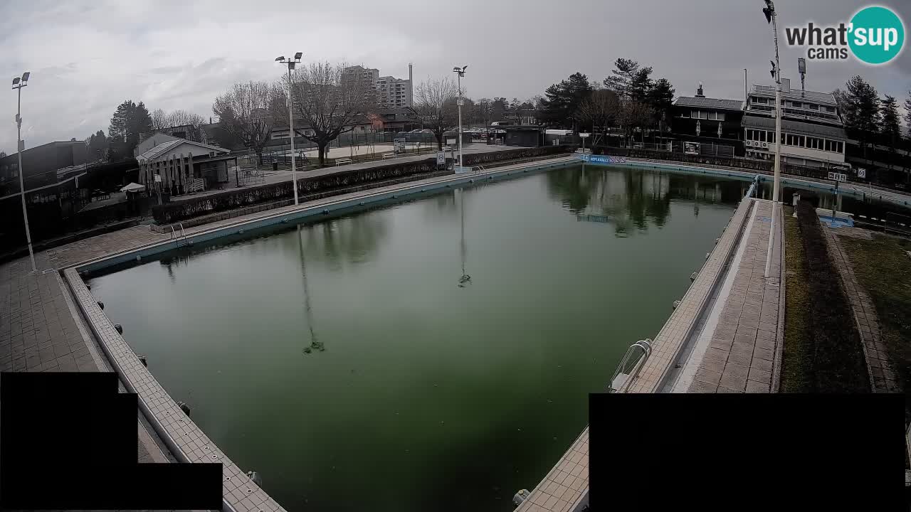 Webcam Celje – Main swimming pool
