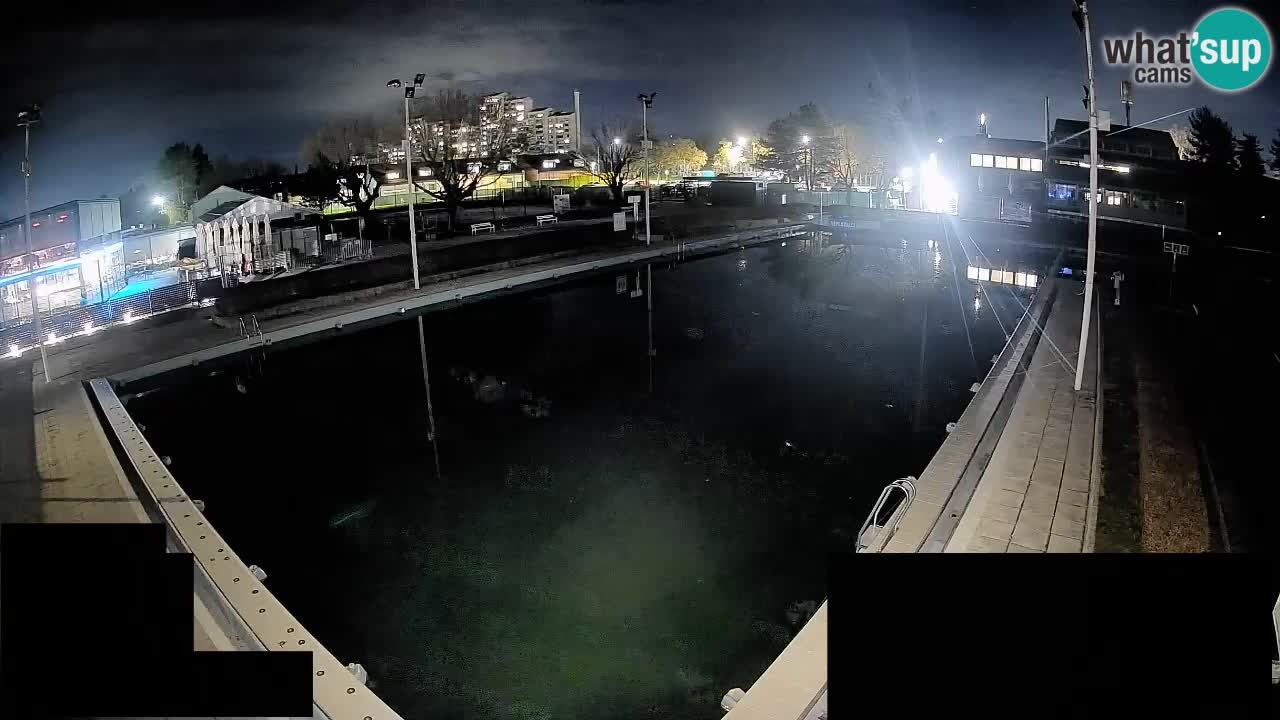 Cámara web Celje – Piscina principal