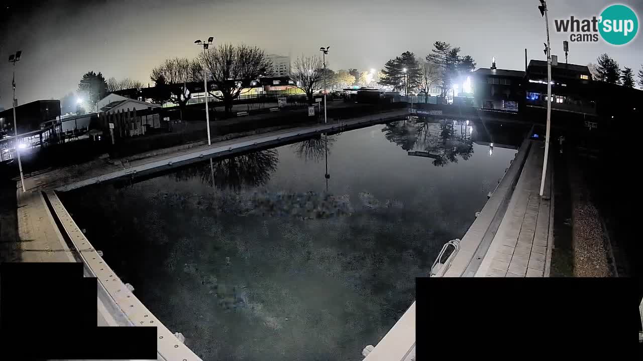Webcam Celje – Main swimming pool