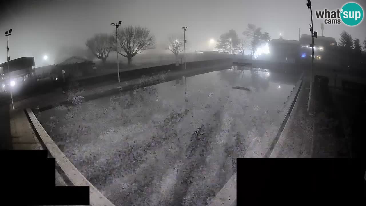Webcam Celje – Main swimming pool
