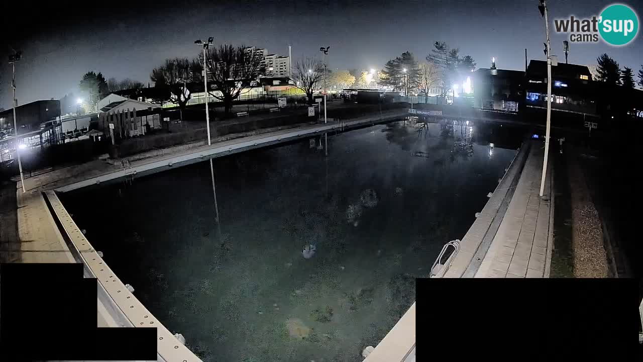 Webcam Celje – Piscine principale