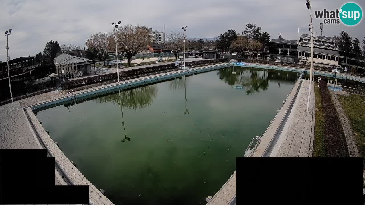 Webcam Celje – Main swimming pool