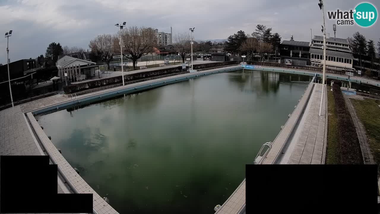 Webcam Celje – Main swimming pool
