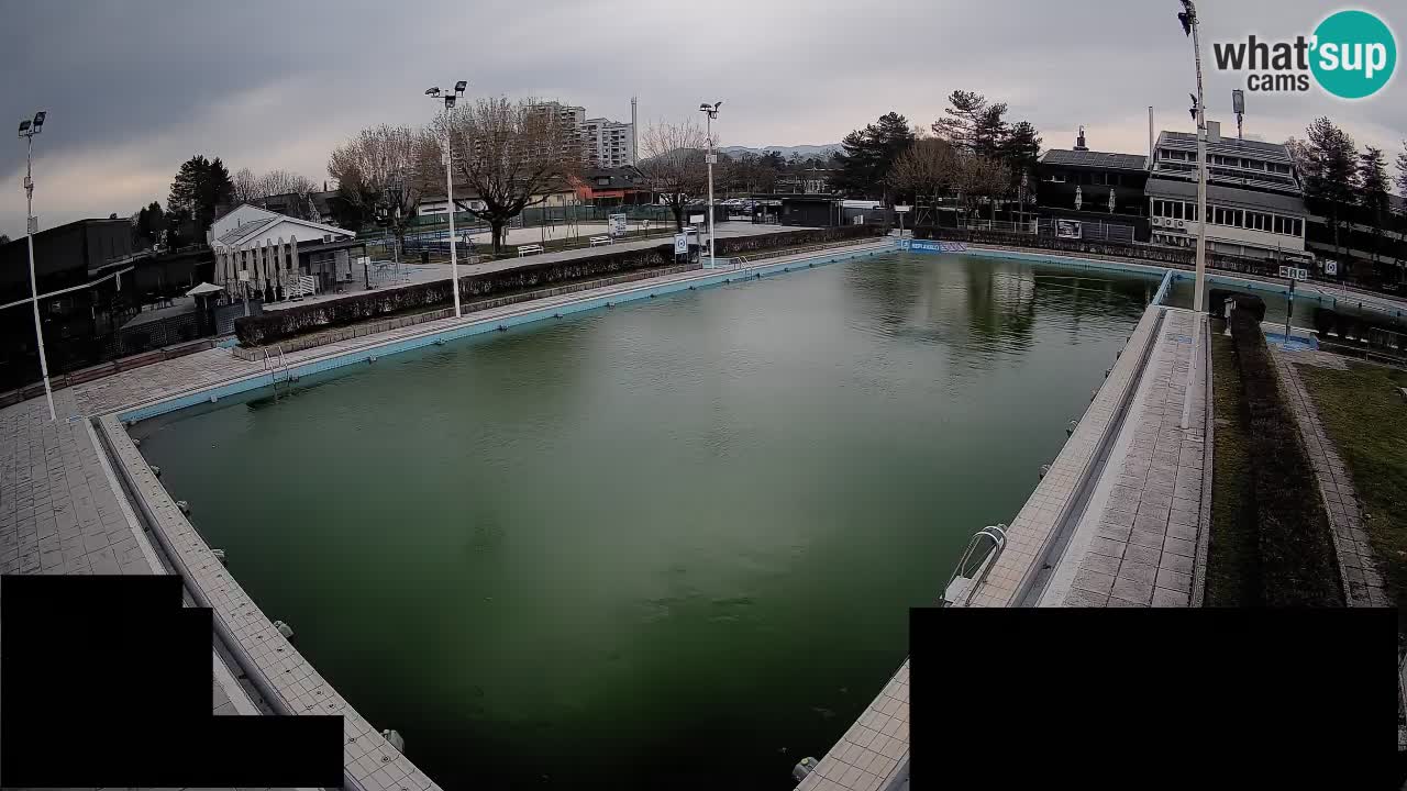 Webcam Celje – Main swimming pool