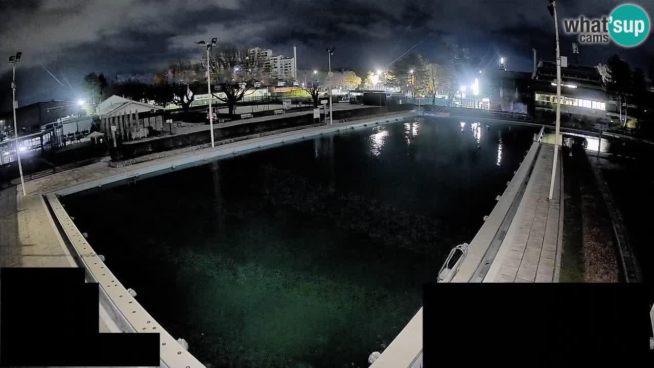 Cámara web Celje – Piscina principal
