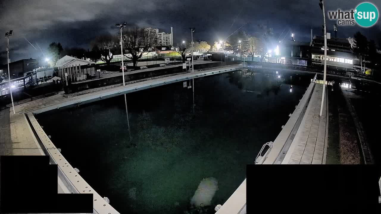 Cámara web Celje – Piscina principal