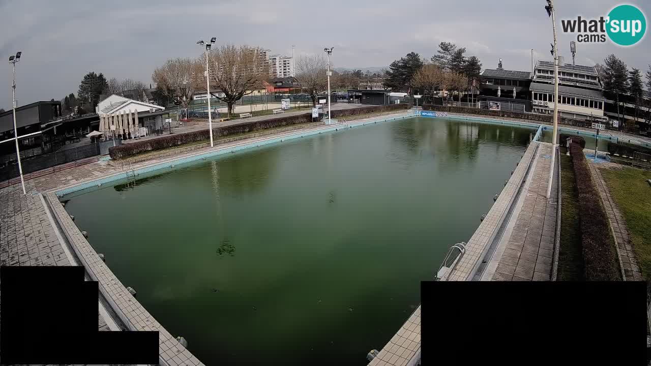 Webcam Celje – Main swimming pool