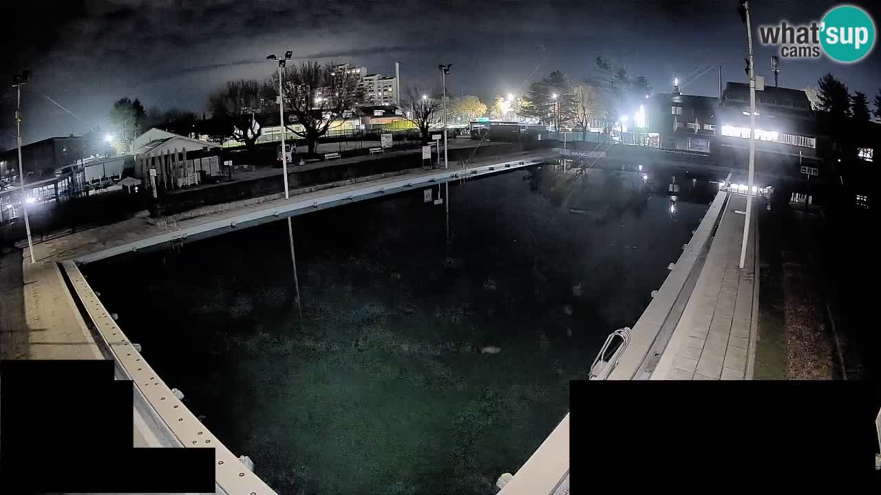 Cámara web Celje – Piscina principal